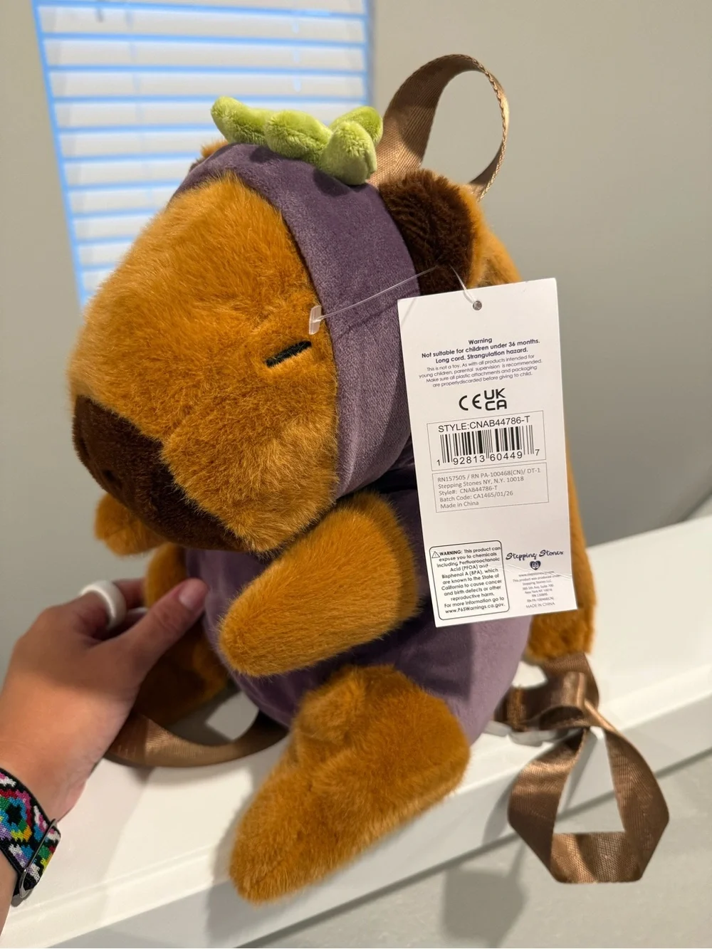 Capybara wearing Eggplant costume backpack